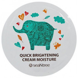 ПРОБНИК Отбеливающий крема для лица SEANTREE Quick Brightening Cream