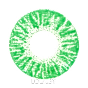 Цветные линзы HERA Rich Green на 3мес. от 0 до -6дптр (2шт)