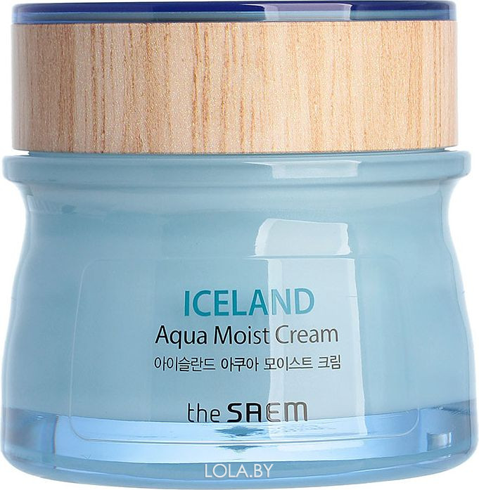 Крем для лица The SAEM увлажняющий Iceland Aqua Moist Cream 60 мл