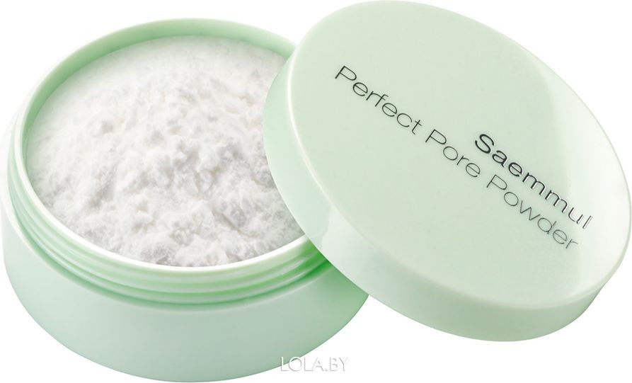 Пудра The SAEM рассыпчатая Saemmul Perfect Pore powder 5гр